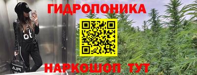 герыч Будённовск